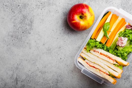 A lunchbox for office or school with healthy food: sandwiches, carrot and cucumber sticks, salad, apple. Preparation and packaging of meal to support balanced lifestyle, stone background, copy space