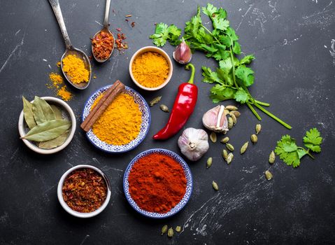 Set of Indian food cooking ingredients. Traditional Indian assorted spices and herbs. Curry, turmeric, cardamom, garlic, pepper, cilantro, cinnamon. Preparing exotic meal. Top view, close up