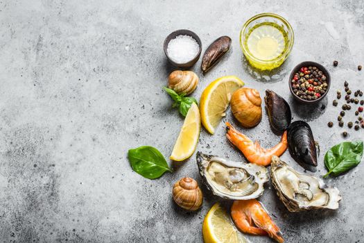 Assortment of fresh seafood: oysters, shrimps, clams, mussels, shells with lemon, olive oil, herbs on grey stone rustic background, top view, space for text. Ready for cooking seafood, copy space