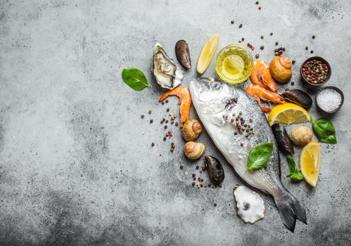 Fresh raw fish Dorado, oysters, shrimps, clams, mussels, shells with lemon, olive oil, herbs on grey stone rustic background, top view, space for text. Cooking fish and seafood, copy space