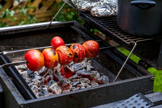 Ripe fresh tomatoes are grilled on a skewer over hot coals. Selective focus.