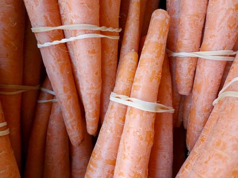 Close-up of Row large Carrots tied with rubberbands on display at farmers market.
