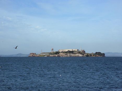Alcatraz Island with Seagulls in flight with Lighthouse and Prison in view on a nice Day in San Francisco Bay.  March 16, 2010.