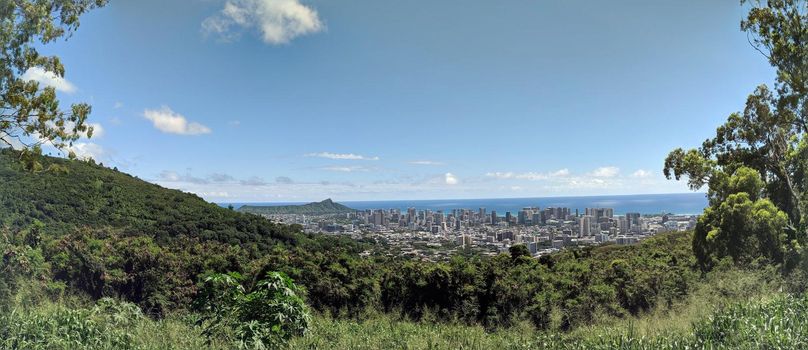 Diamondhead and the city of Honolulu on Oahu on a nice day from high in the mountains with tall trees in the foreground.