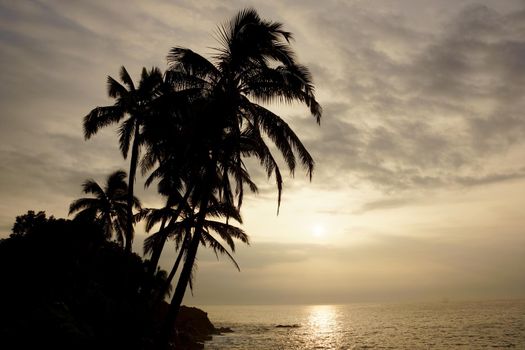Sunrise over the ocean with waves crashing along rocky shore on a voggy Big Island Hawaii day with coconut trees palm silhouette hanging over the water.   