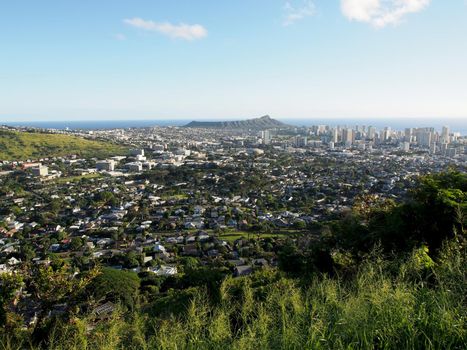 The city of Honolulu from Diamond head to Manoa with Kaimuki, Kahala, and oceanscape visible on Oahu on a nice day from high in the mountains with tall trees in the foreground.  Seen from Round Top Drive Lookout.  January 8, 2017.