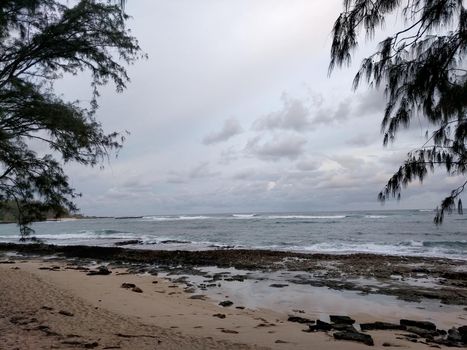 Ironwood trees overhang beach at Turtle Bay, Oahu Island North Shore, Hawaii