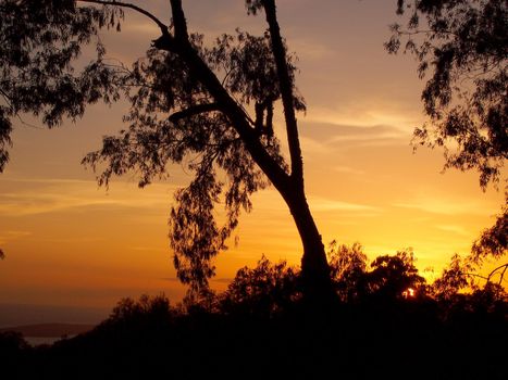 Sunset past tropical silhouette of trees through the clouds on Oahu, Hawaii.