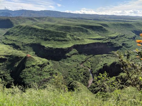 River at the bottom of a lush Waimea Canyon on Kauai, Hawaii