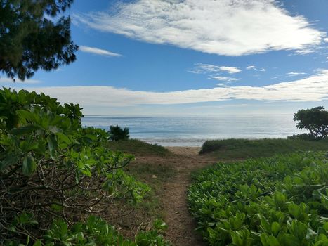 Pathway with Naupaka plants and grass lining way to the beach with gentle wave lap on Waimanalo Beach on a nice day Oahu, Hawaii.  