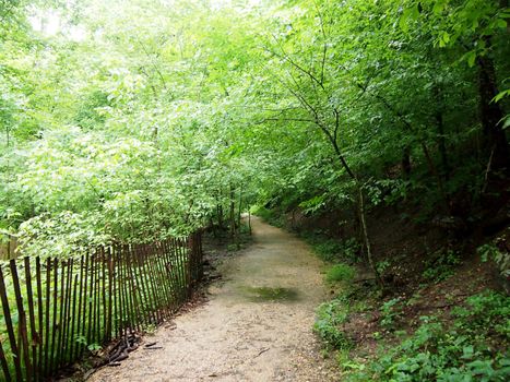 Dirt Path leads upwards in Forest in Rock Creek Park, Washington DC.