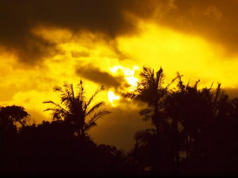 Sunset past tropical silhouette of trees through the clouds on Oahu, Hawaii.