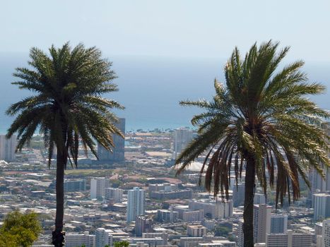 Two Palm trees with Honolulu, Diamond Head, Waikiki, Buildings, parks, hotels and Condos with Pacific Ocean stretching into the distance on nice day. 