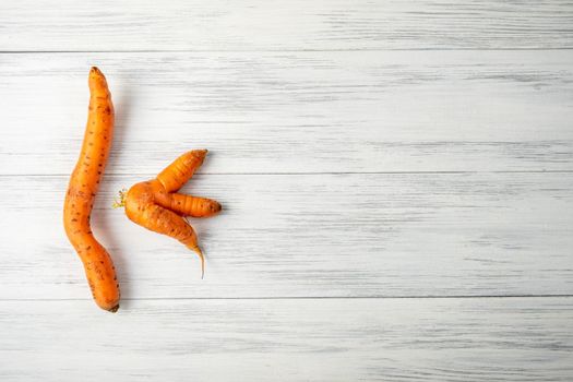 Top view close-up of two ripe orange ugly carrots lie on a light wooden surface with copy space for text. Selective focus.