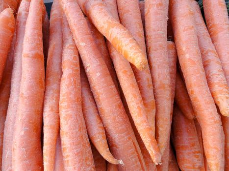 Close-up of Row large Carrots on display at farmers market