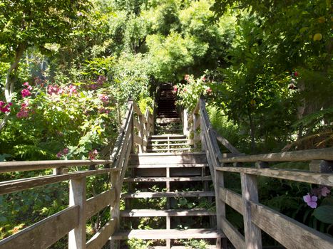 Filbert Street Stairs leading upwards on Telegraph Hill in San Francisco, California.