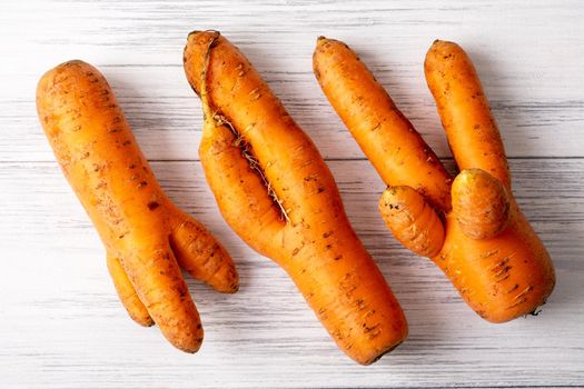 Top view close-up of several ripe orange ugly carrots lie on a light wooden surface with copy space for text. Selective focus.