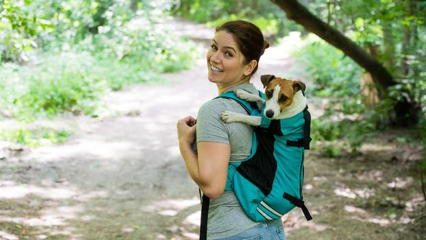 Caucasian woman walking outdoors with dog jack russell terrier in a special backpack