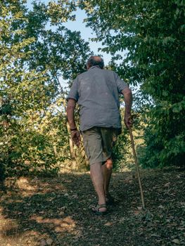 old man with sky pole walking around in garden and farm in summer season