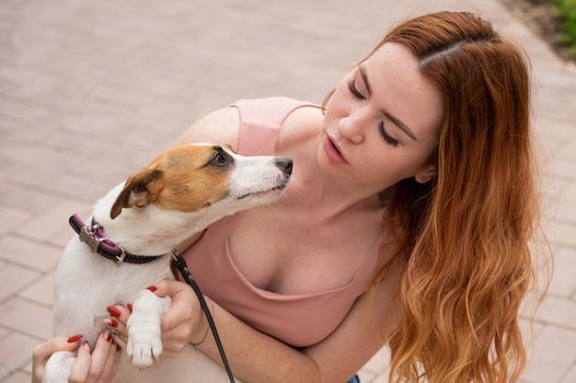 Dog jack russell terrier licks the owner in the face outdoors