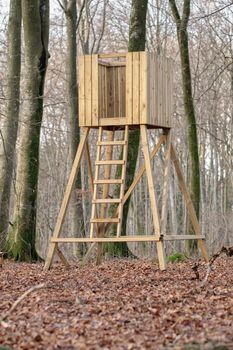 Hunting tower, wooden treehouse and observation structure in a forest or remote countryside woods. Timber wood lookout built for watching wildlife, birds and wild animals in quiet and peaceful nature.