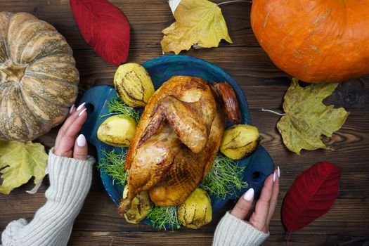 Women's hands serve freshly cooked chicken with potatoes and micro-greenery on the table. Ripe pumpkins are lying on a wooden table. Preparing the table for Thanksgiving.