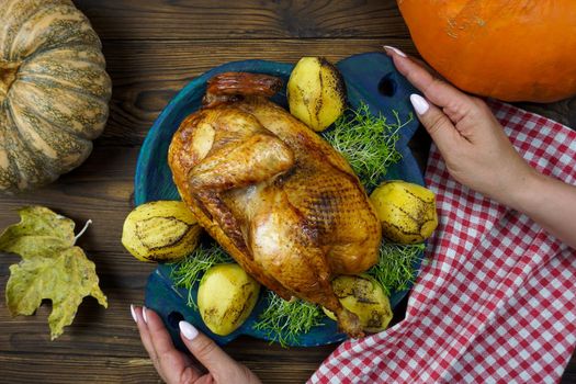 Women's hands serve freshly cooked chicken with potatoes and micro-greenery on the table. Ripe pumpkins are lying on a wooden table. Preparing the table for Thanksgiving.