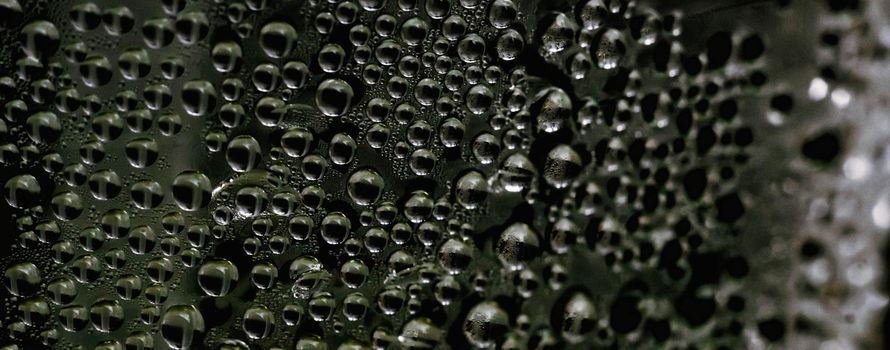 Many Water Rain Drops wet window condensation on glass. Fresh background. Textures formed by bubbles. Collection clear surface. Abstract real photo beautiful romantic cute wallpaper. Dark green brown.