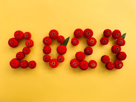 The numbers 2023 are laid out on a yellow background with red flowers of cynia. High quality photo