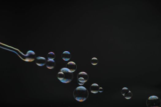 Flying soap bubbles on black background. Abstract soap bubbles with colorful reflections. Soap bubbles in motion background.