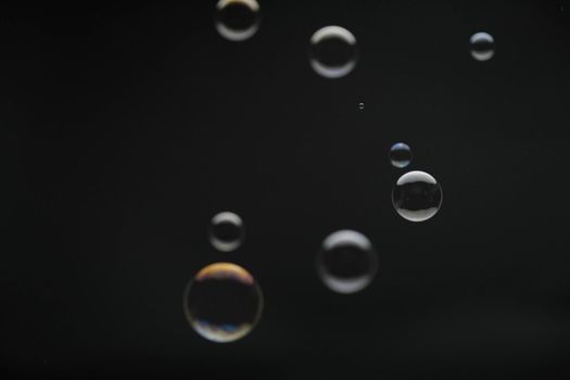 Flying soap bubbles on black background. Abstract soap bubbles with colorful reflections. Soap bubbles in motion background.