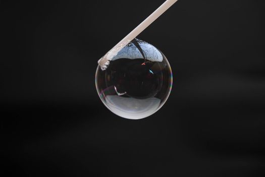 Beautiful soap bubbles are blown with a straw on a black background. Abstract soap bubbles with colorful reflections.