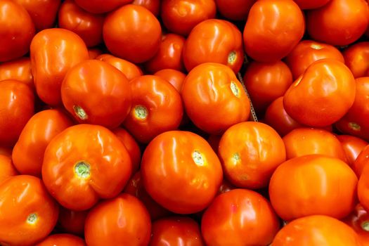 Close up of many fresh red tomatoes big fruit type.