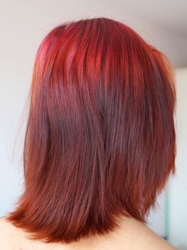 head of a red-haired girl close-up, rear view.