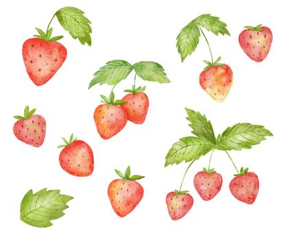 Set of Watercolor cute strawberry and green leaves. Stylized drawing illustration of summer berry isolated on white