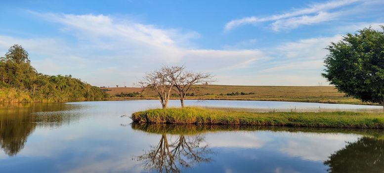 lake with a natural landscape of a farm in the countryside of Brazil with trees and lawn around it