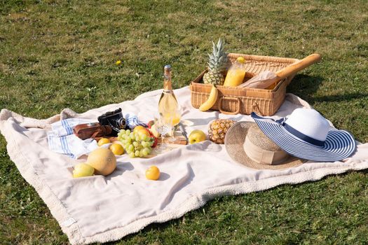 picnic blanket on a green lawn and a basket of fruit, cheese on a plate, High Quality Photo