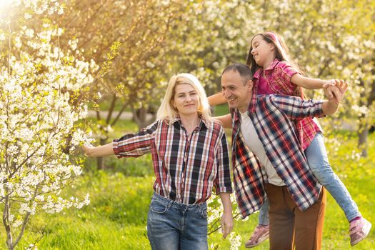 family walk the cherry trees.