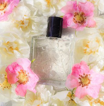 Perfume bottles with flowers . The choice of fragrance. Cosmetology. Cosmetic products. An article about perfume. Copy space.