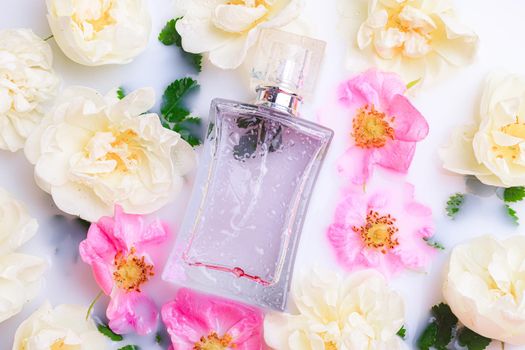 Perfume bottles with flowers . The choice of fragrance. Cosmetology. Cosmetic products. An article about perfume. Copy space.
