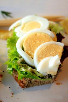 A fresh egg salmon sandwich: smoked salmon, lettuce, fresh dill and egg