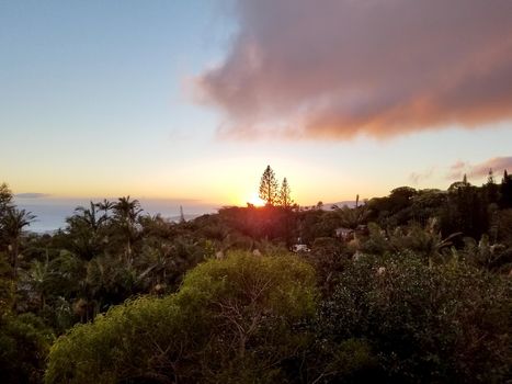 Sunset behind the Tantalus mountain past tropical silhouette of trees through the clouds over the ocean on Oahu, Hawaii.