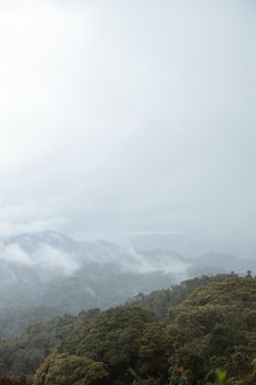 Vertical photo of white fog over rainforest during fresh morning with mountain in Africa
