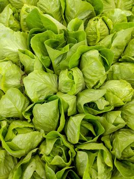 Green Lettuce Heads for Sale at Farmers Market on the Big Island, Hawaii.