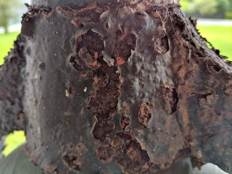 Close-up of Rusted Bell Metal on Kauai, Hawaii.