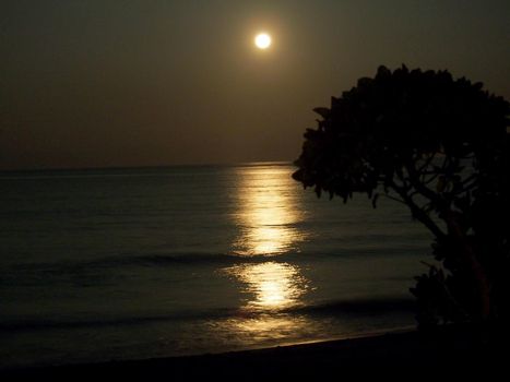 Moon rises over Waimanalo Beach and reflects light on ocean with outline of tree on Oahu, Hawaii.