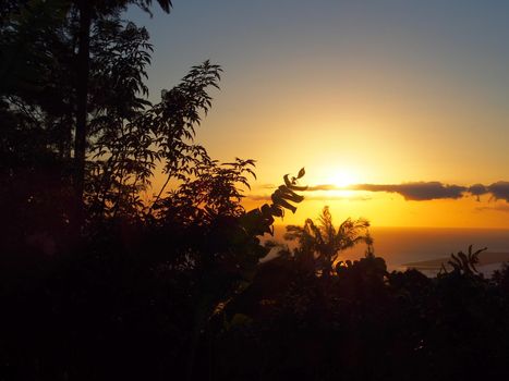 Sunset behind the Tantalus mountain past tropical silhouette of trees through the clouds on Oahu, Hawaii.  February 3, 2016.