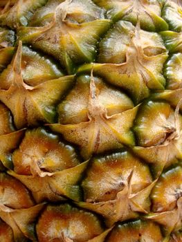 Close-up of Yummy Ripe Pineapple Skin.