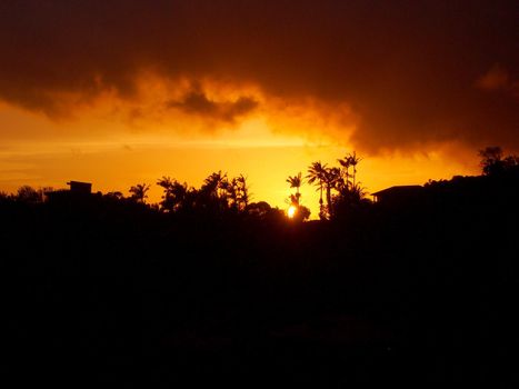 Sunset behind the Tantalus mountain past tropical silhouette of trees through the clouds on Oahu, Hawaii.