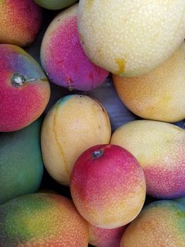 Pile of Sun-kissed Hayden Mango's in box Honolulu.  
       